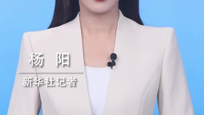 小标题：总结